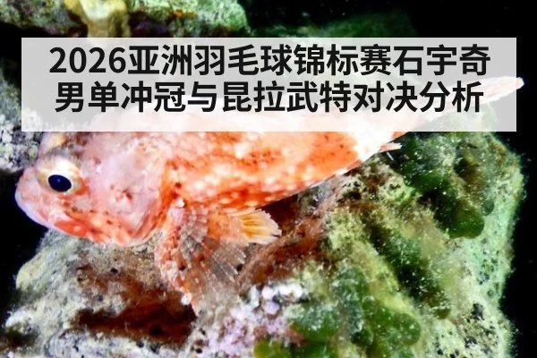 2026亚洲羽毛球锦标赛石宇奇男单冲冠与昆拉武特对决分析